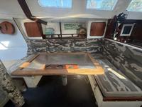 Meta Delu 40 Click to launch Larger Image