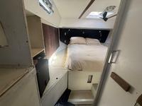 Meta Delu 40 Click to launch Larger Image