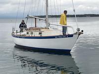 Vineyard Vixen 29 Click to launch Larger Image
