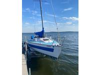 Santana 23 Click to launch Larger Image