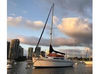 Catalina 250