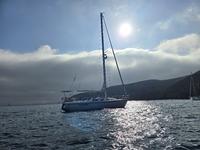 Catalina C-36 Click to launch Larger Image