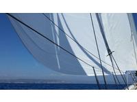 Wauquiez PS47 Click to launch Larger Image