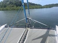 Maine Cat 40