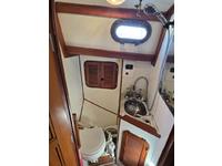 Ta Shing Baba 30 Click to launch Larger Image