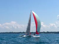 newick native Click to launch Larger Image