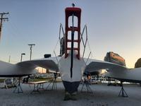 newick native Click to launch Larger Image