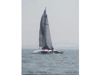 newick native Click to launch Larger Image