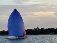 newick native Click to launch Larger Image