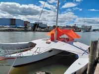 newick native Click to launch Larger Image