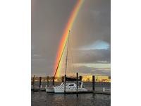 Robertson & Caine Leopard 38 Click to launch Larger Image