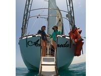 Islander Yachts 38C Click to launch Larger Image
