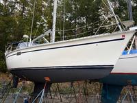 Hunter Legend 37.5 Click to launch Larger Image