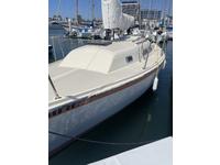 Ericson 25 plus Click to launch Larger Image