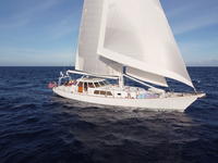 Stephens Brothers Marine Custom Pilothouse Cutter Click to launch Larger Image