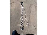 Windrider 16 Click to launch Larger Image