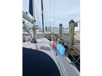 Catalina 350 Click to launch Larger Image