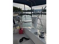 Catalina 350 Click to launch Larger Image