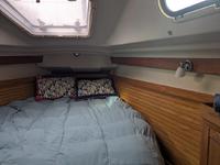 Catalina 350 Click to launch Larger Image