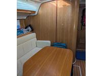 Catalina 350 Click to launch Larger Image