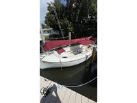 Com-Pac Sunday Cat Click to launch Larger Image