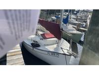 Com-Pac Sunday Cat Click to launch Larger Image