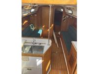 Freedom 35 Click to launch Larger Image