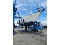 Sigma 41 Click to launch Larger Image