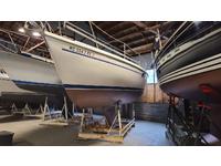 Catalina 34 Mk II Click to launch Larger Image