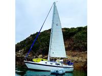 Cal Jensen Cal 2-27 Click to launch Larger Image