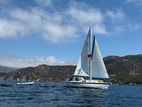 Cal Jensen Cal 2-27 Click to launch Larger Image