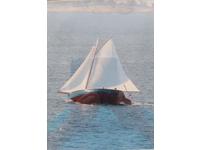 1977 MARSHALL 22' SLOOP RIGGED CATBOAT  Click to launch Larger Image