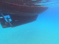 Bruce Roberts Mauritius 43 Click to launch Larger Image