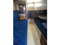 Catalina 36 Click to launch Larger Image