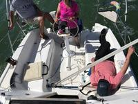 Hunter 260 Click to launch Larger Image