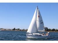 Catalina 250 Click to launch Larger Image