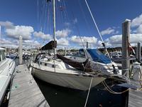 Cape Dory CD31 Click to launch Larger Image