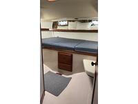 Morgan Catalina OI Classic Click to launch Larger Image