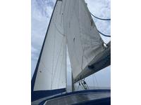 Catalina 30 Click to launch Larger Image