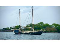 Colvin Gazelle Click to launch Larger Image