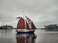 Tom Colvin Gazelle Click to launch Larger Image