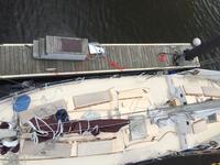 Tom Colvin Gazelle Click to launch Larger Image