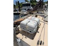 Tom Colvin Gazelle Click to launch Larger Image