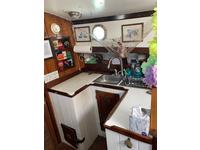 Tom Colvin Gazelle Click to launch Larger Image