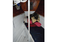 Tom Colvin Gazelle Click to launch Larger Image