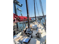 Tom Colvin Gazelle Click to launch Larger Image