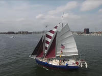 Tom Colvin Gazelle Click to launch Larger Image