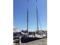 Tom Colvin Gazelle Click to launch Larger Image