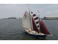 Tom Colvin Gazelle Click to launch Larger Image