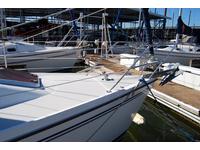 Catalina 320 Click to launch Larger Image